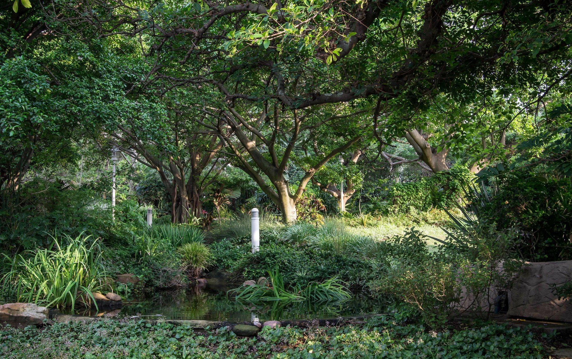 302 Oyster Schelles - By Stay In Umhlanga Durban Bagian luar foto